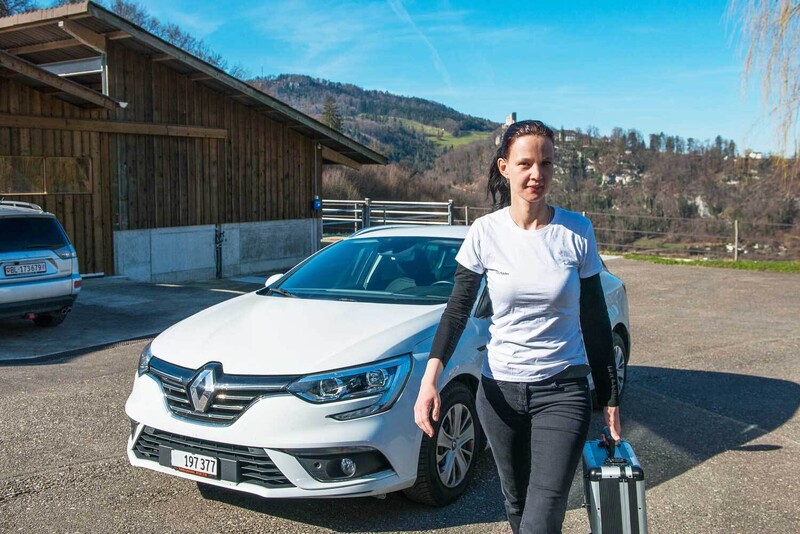 Ameisen Experten Ameisen Vertreiben